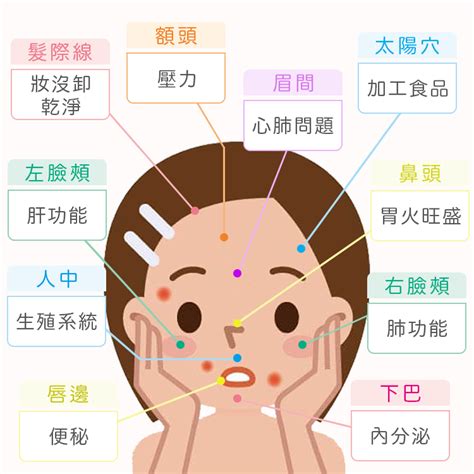 眉中長痘痘|痘痘位置隱藏著你的身體毛病！下巴痘痘、眉毛痘痘都是因為...